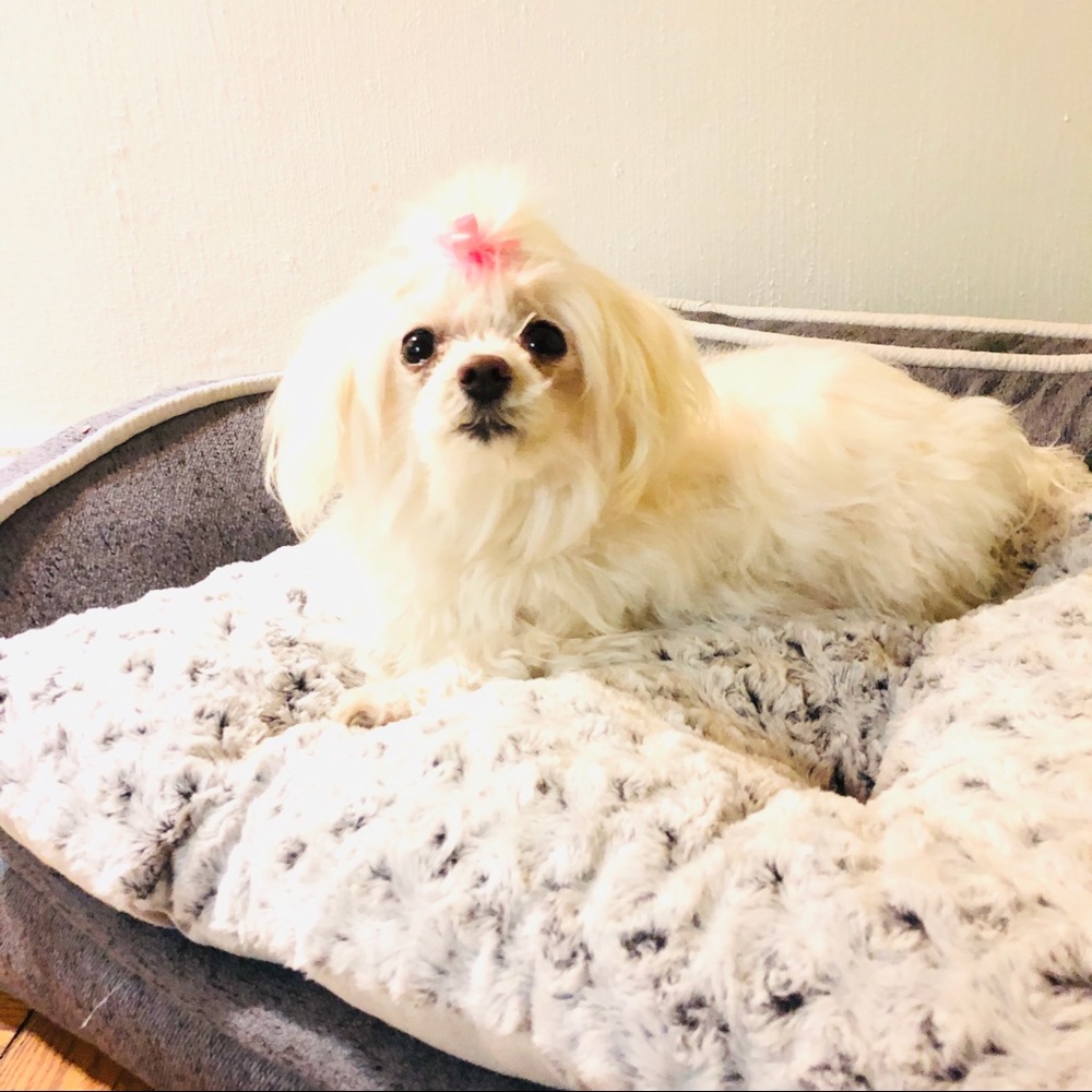 The Queen On Her Throne